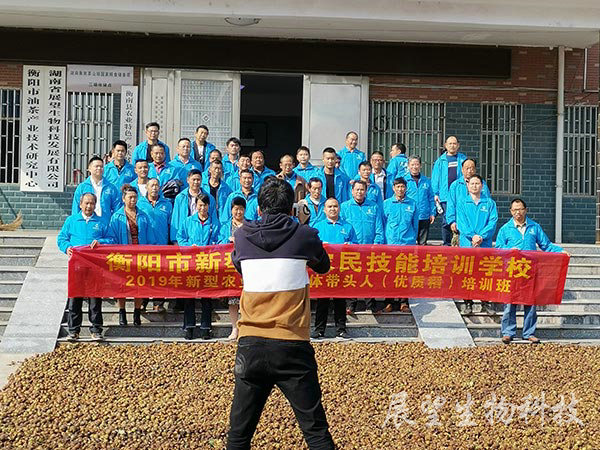 油茶鲜果收购 油茶鲜果收购