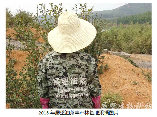 公司实景9 公司实景9