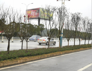 ũƷӹ,ʳչ,ϵֲ,ʡ28Ƽչ޹˾