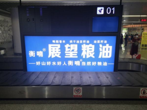 ũƷӹ,ʳչ,ϵֲ,ʡ28Ƽչ޹˾